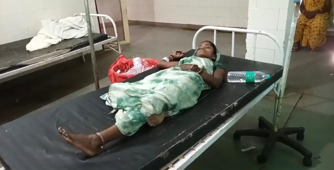 मधुमक्खियों